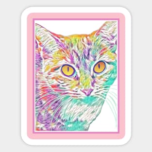 Colourful Kits (pastel kitty w/ pink border) Sticker